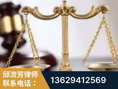 岳阳-委托诉讼代理人出庭